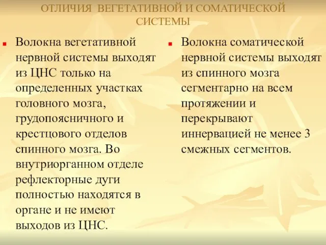 ОТЛИЧИЯ ВЕГЕТАТИВНОЙ И СОМАТИЧЕСКОЙ СИСТЕМЫ Волокна вегетативной нервной системы выходят из