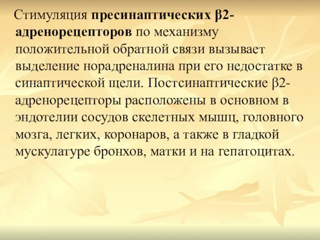 Стимуляция пресинаптических β2-адренорецепторов по механизму положительной обратной связи вызывает выделение норадреналина