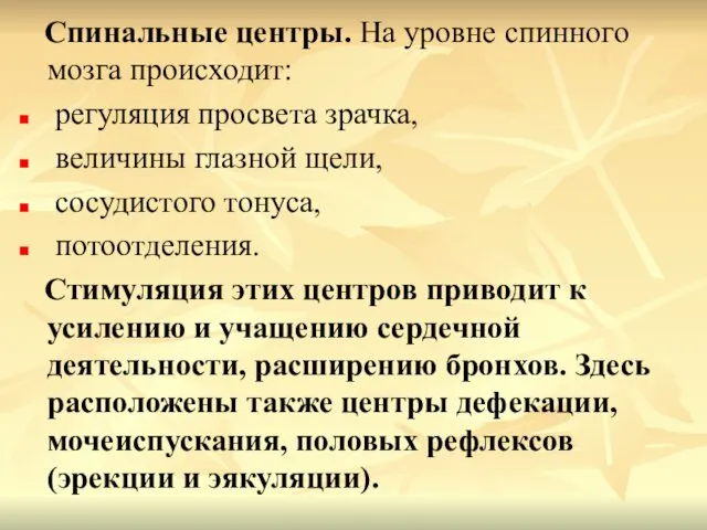 Спинальные центры. На уровне спинного мозга происходит: регуляция просвета зрачка, величины