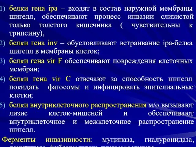 белки гена ipa – входят в состав наружной мембраны шигелл, обеспечивают