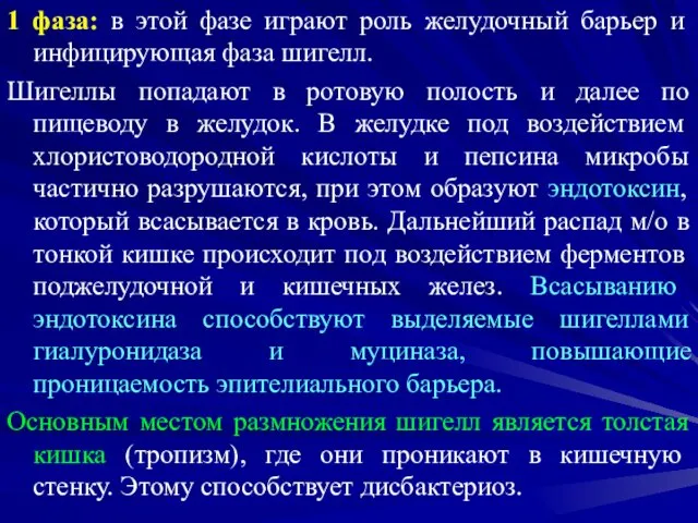 1 фаза: в этой фазе играют роль желудочный барьер и инфицирующая