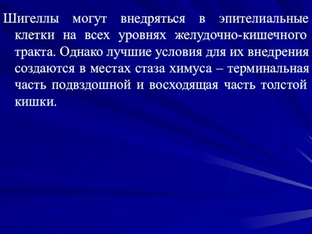 Шигеллы могут внедряться в эпителиальные клетки на всех уровнях желудочно-кишечного тракта.