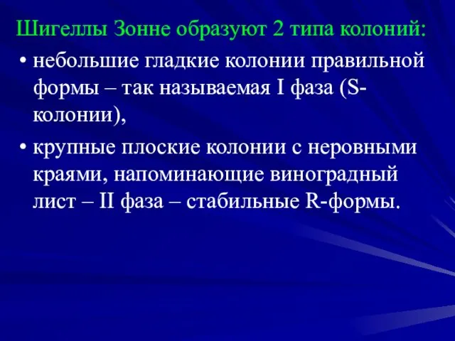 Шигеллы Зонне образуют 2 типа колоний: небольшие гладкие колонии правильной формы