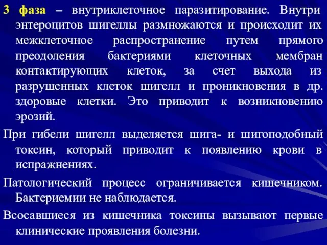 3 фаза – внутриклеточное паразитирование. Внутри энтероцитов шигеллы размножаются и происходит