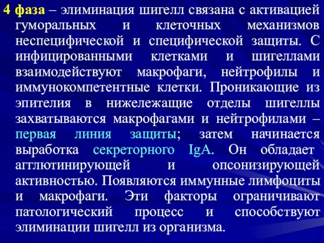 4 фаза – элиминация шигелл связана с активацией гуморальных и клеточных