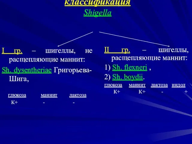 Биохимическая или отечественная классификация Shigella I гр. – шигеллы, не расщепляющие