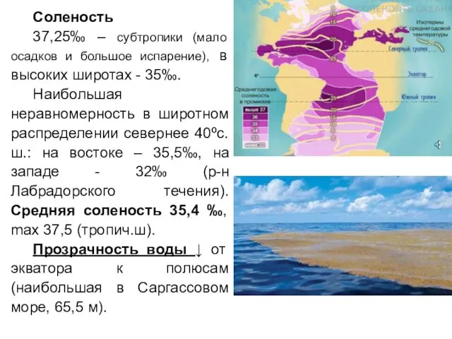 Соленость 37,25‰ – субтропики (мало осадков и большое испарение), в высоких