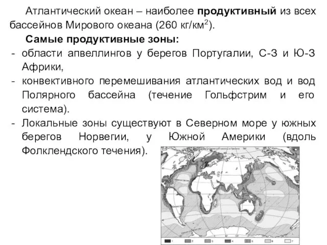 Атлантический океан – наиболее продуктивный из всех бассейнов Мирового океана (260