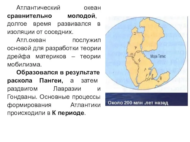 Атлантический океан сравнительно молодой, долгое время развивался в изоляции от соседних.