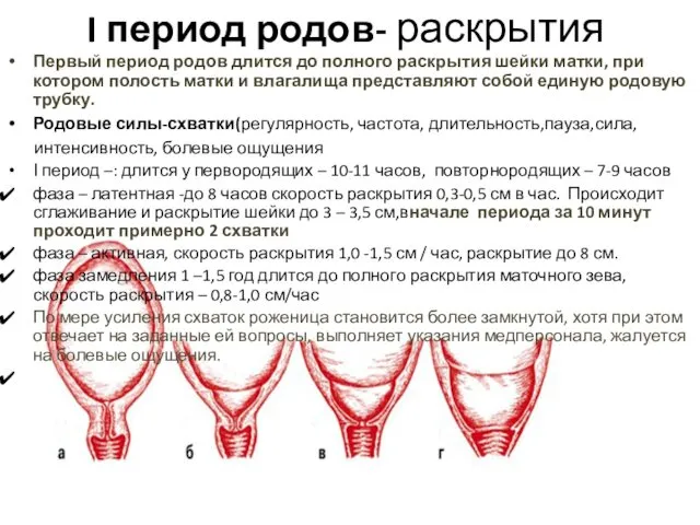 I период родов- раскрытия Первый период родов длится до полного раскрытия