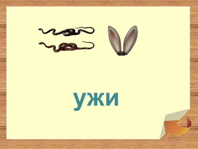 ужи