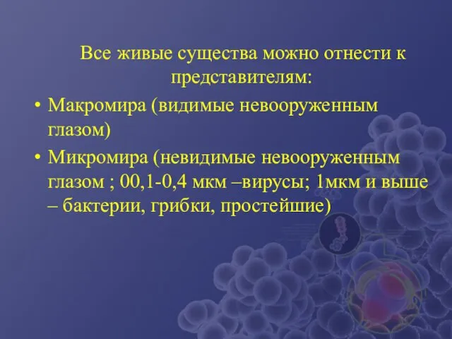 Все живые существа можно отнести к представителям: Макромира (видимые невооруженным глазом)