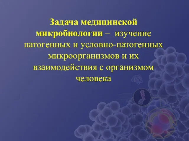 Задача медицинской микробиологии – изучение патогенных и условно-патогенных микроорганизмов и их взаимодействия с организмом человека