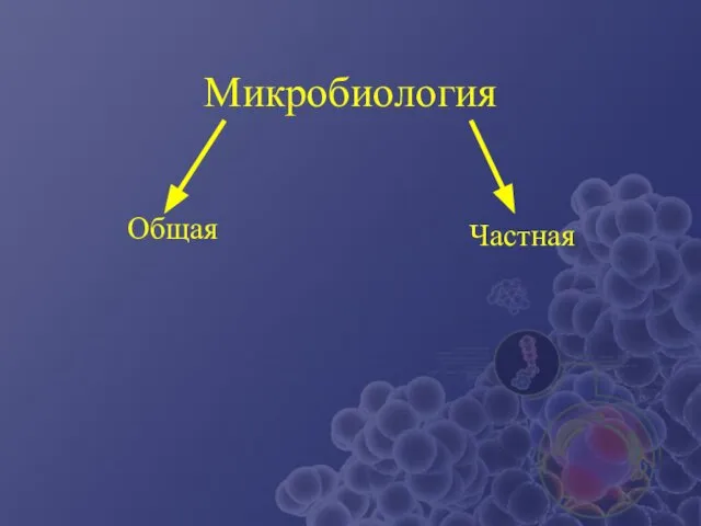 Микробиология Общая Частная