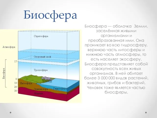 Биосфера Биосфера — оболочка Земли, заселённая живыми организмами и преобразованная ими.