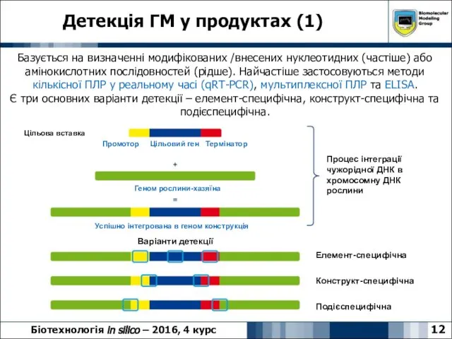 Детекція ГМ у продуктах (1) Біотехнологія in silico – 2016, 4