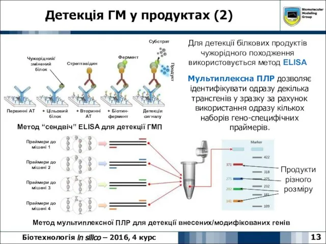 Детекція ГМ у продуктах (2) 13 Біотехнологія in silico – 2016,