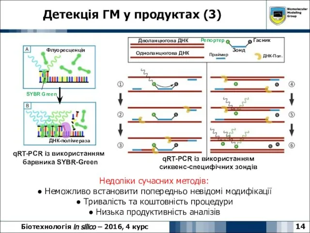 Детекція ГМ у продуктах (3) 14 Біотехнологія in silico – 2016,