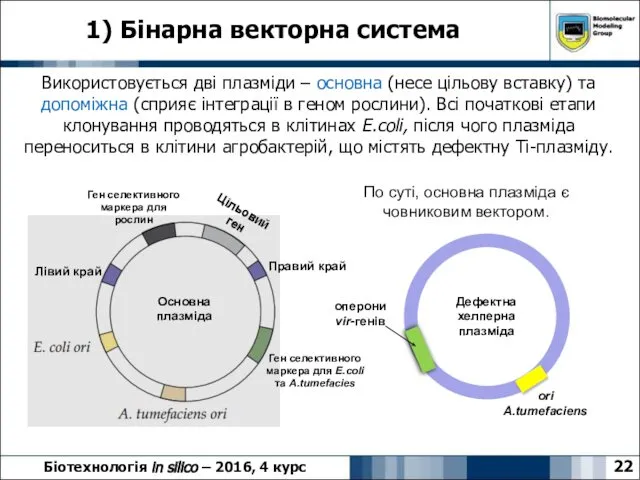 1) Бінарна векторна система 22 Біотехнологія in silico – 2016, 4