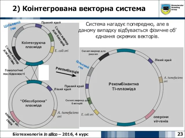 2) Коінтегрована векторна система 23 Біотехнологія in silico – 2016, 4