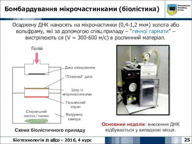 25 Бомбардування мікрочастинками (біолістика) Біотехнологія in silico – 2016, 4 курс