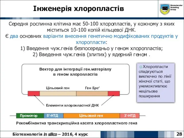 Інженерія хлоропластів 28 Біотехнологія in silico – 2016, 4 курс Середня