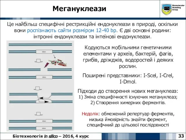 Мегануклеази 33 Біотехнологія in silico – 2016, 4 курс Це найбільш