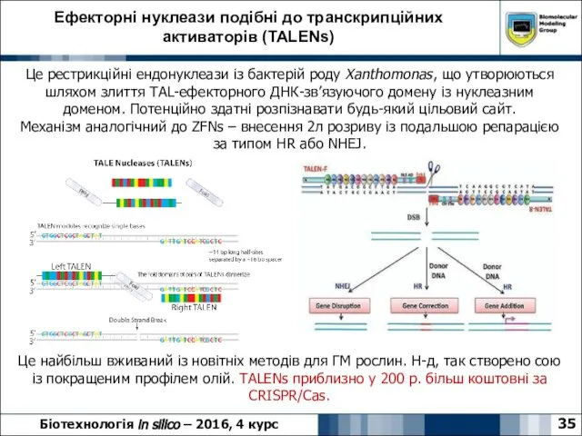 Ефекторні нуклеази подібні до транскрипційних активаторів (TALENs) 35 Біотехнологія in silico
