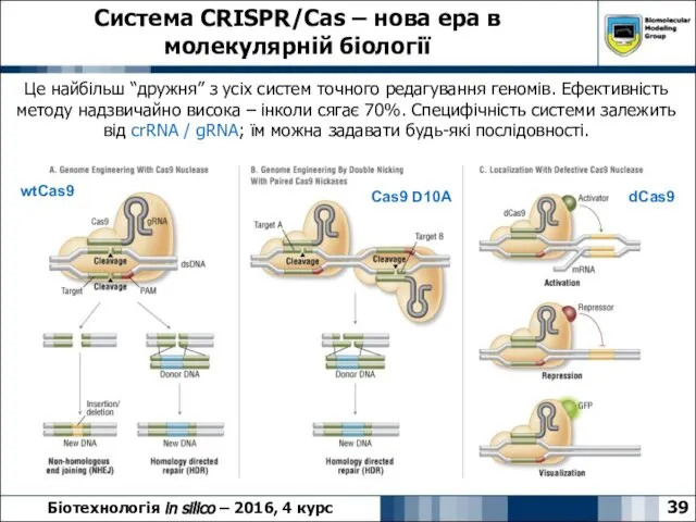 Система CRISPR/Cas – нова ера в молекулярній біології 39 Біотехнологія in