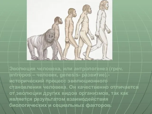 Эволюция человека, или антропогенез (греч. antropos – человек, genesis- развитие),- исторический