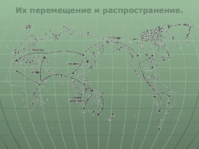 Их перемещение и распространение.