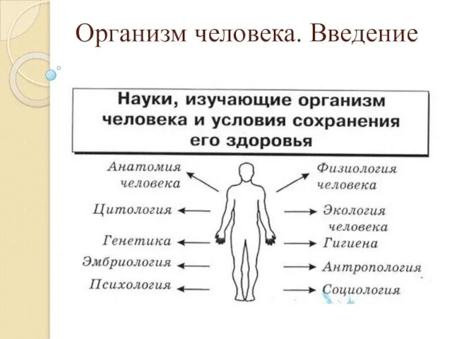 Организм человека. Введение