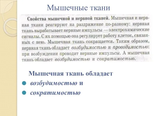 Мышечные ткани Мышечная ткань обладает возбудимостью и сократимостью