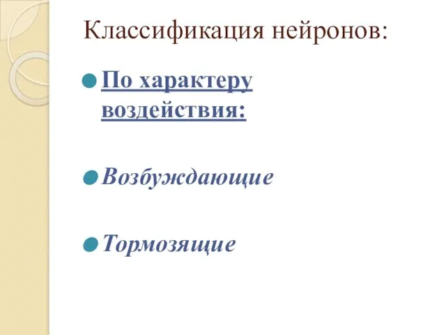 Классификация нейронов: По характеру воздействия: Возбуждающие Тормозящие