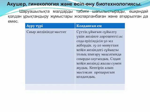 Акушер, гинекология және өсіп-өну биотехнологиясы. Шаруашылықта малдарды табиғи шағылыстырады, ешқандай қолдан