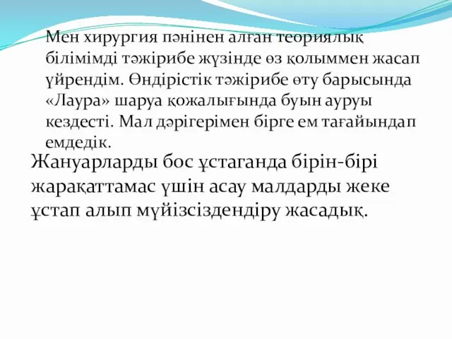 Жануарларды бос ұстаганда бірін-бірі жарақаттамас үшін асау малдарды жеке ұстап алып