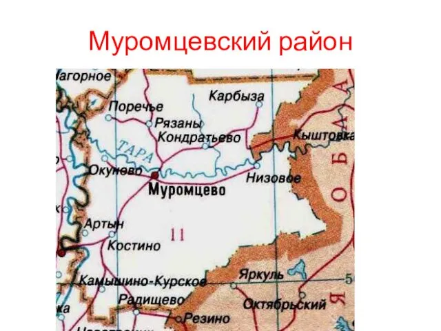 Муромцевский район