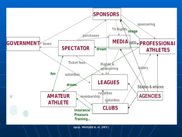 проф. МАРШЕВ В. И. (МГУ)