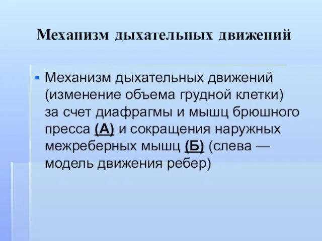 Механизм дыхательных движений Механизм дыхательных движений (изменение объема грудной клетки) за