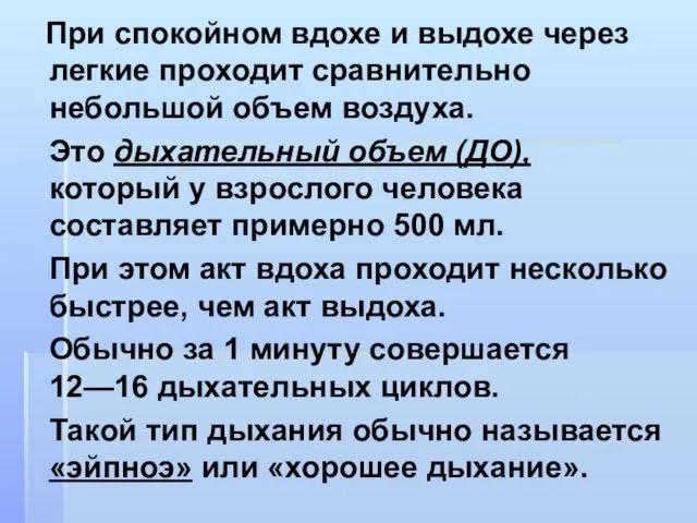 При спокойном вдохе и выдохе через легкие проходит сравнительно небольшой объем