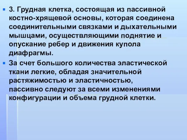 3. Грудная клетка, состоящая из пассивной костно-хрящевой основы, которая соединена соединительными