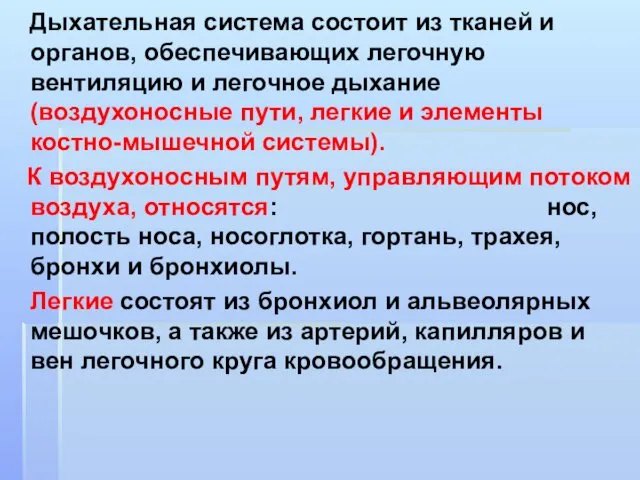 Дыхательная система состоит из тканей и органов, обеспечивающих легочную вентиляцию и