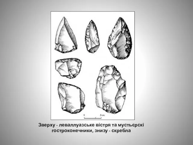 Зверху - леваллуазське вістря та мустьєрскі гостроконечники, знизу - скребла