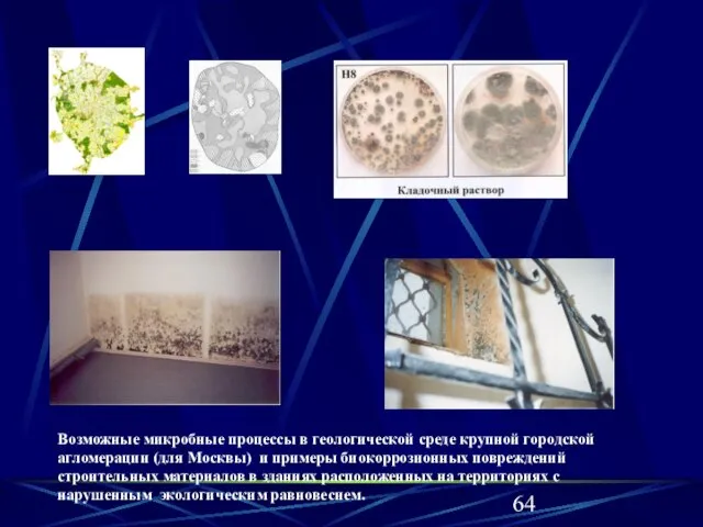 Возможные микробные процессы в геологической среде крупной городской агломерации (для Москвы)