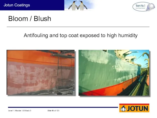 Bloom / Blush Antifouling and top coat exposed to high humidity 4226-0066 0807-47