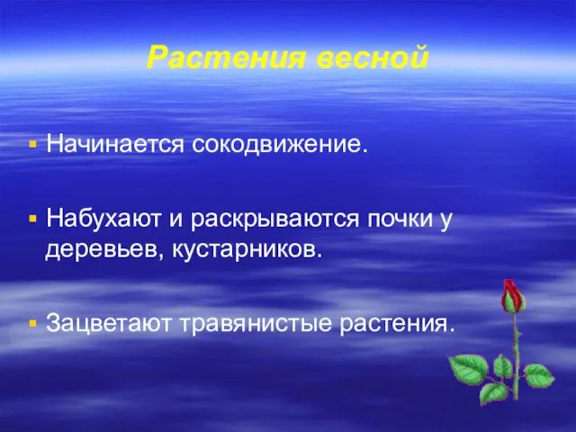 Растения весной Начинается сокодвижение. Набухают и раскрываются почки у деревьев, кустарников. Зацветают травянистые растения.