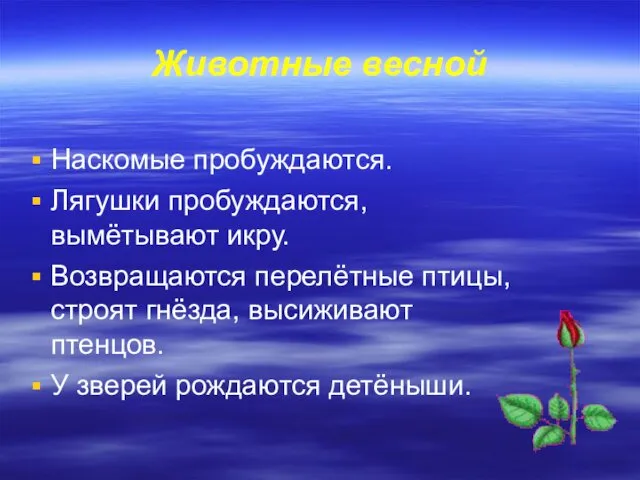 Животные весной Наскомые пробуждаются. Лягушки пробуждаются, вымётывают икру. Возвращаются перелётные птицы,