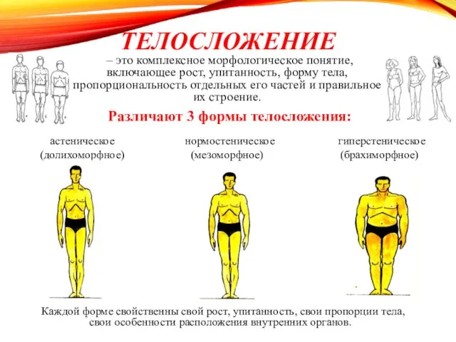 ТЕЛОСЛОЖЕНИЕ – это комплексное морфологическое понятие, включающее рост, упитанность, форму тела,