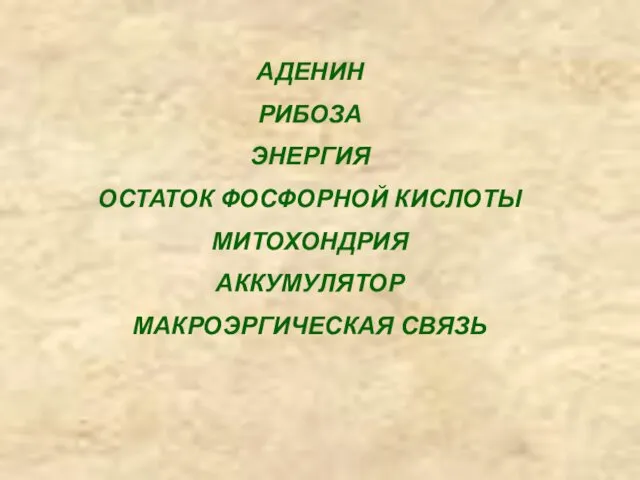 АДЕНИН РИБОЗА ЭНЕРГИЯ ОСТАТОК ФОСФОРНОЙ КИСЛОТЫ МИТОХОНДРИЯ АККУМУЛЯТОР МАКРОЭРГИЧЕСКАЯ СВЯЗЬ