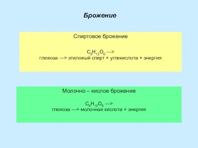 Брожение Спиртовое брожение C6H12O6 —> глюкоза —> этиловый спирт + углекислота